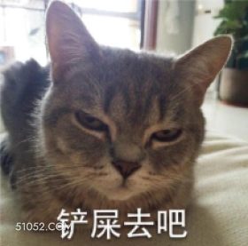 铲屎去吧 猫猫 铲屎