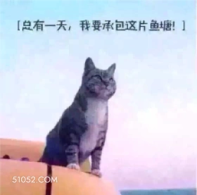 [总有一天，我要承包 猫猫 承包鱼塘