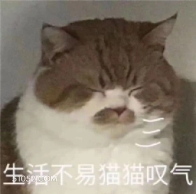 生活不易猫猫叹气 猫猫 唉 叹气