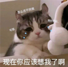 怎么还不找我 我好想 猫猫 流泪 想你