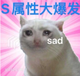 S属性大爆发 sad 猫猫 emo 难过 sad