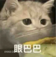 眼巴巴 猫猫 看着