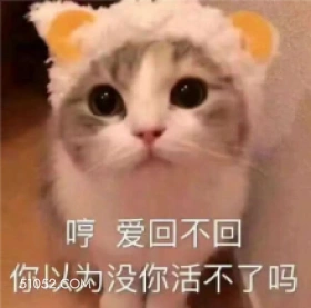 哼爱回不回 你以为没 猫猫 哼 傲娇 不回消息