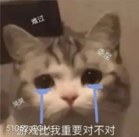 难过 委屈 笑突 游 猫猫 伤心 流泪