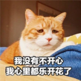 我没有不开心 我心里 猫猫 满脸写着高兴 不开心