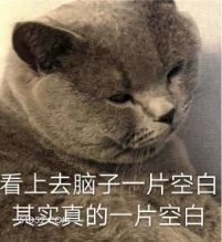 看上去脑子一片空白  猫猫 脑子一片空白