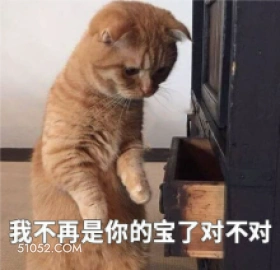 我不再是你的宝了对不 猫猫 难过 不爱我了吗