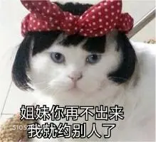 姐妹你再不出来 我就 猫猫 不跟你玩了