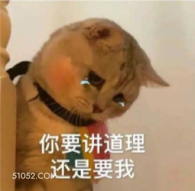 你要讲道理 还是要我 猫猫 流泪 哭唧唧