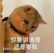 你要讲道理 还是要我 猫猫 流泪 哭唧唧