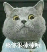 那你很棒棒哦 猫猫 棒 很棒棒