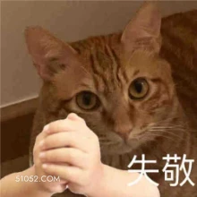 失敬 猫猫 失敬失敬