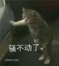 骚不动了。 猫猫 累了