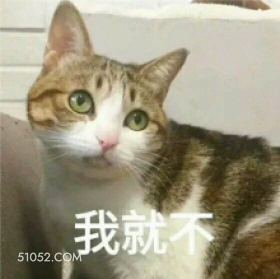 我就不 猫猫 不 就不