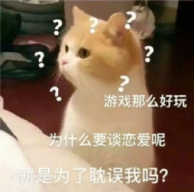 A ? ? 游戏那么 猫猫 疑问 恋爱 耽误 游戏