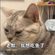 老默，我想吃鱼了 猫猫 狂飙 想杀人