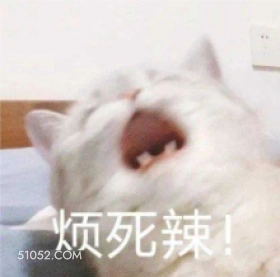 烦死辣！ 猫猫 好烦