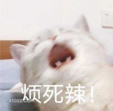 烦死辣！ 猫猫 好烦