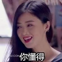 你懂得 欢乐颂 樊胜美 你懂的