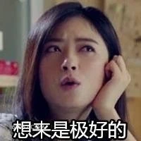 想来是极好的 欢乐颂 樊胜美 好 好得很 极好的