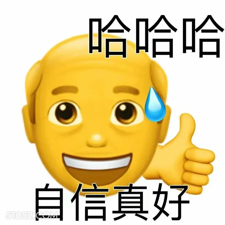 哈哈哈 自信真好 emoji 自信 流汗 赞