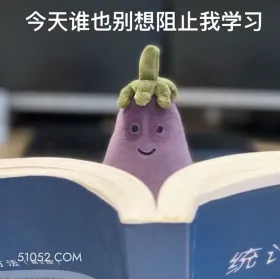 今天谁也别想阻止我学 学习 茄子 认真看书 沉迷学习