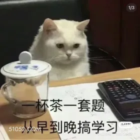 1/3 一杯茶一套题 学习 搞学习 一本正经 猫咪