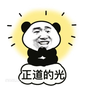 正道的光 熊猫头 正道的光