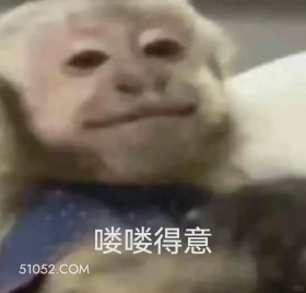 喽喽得意 猴子 吗喽 得意