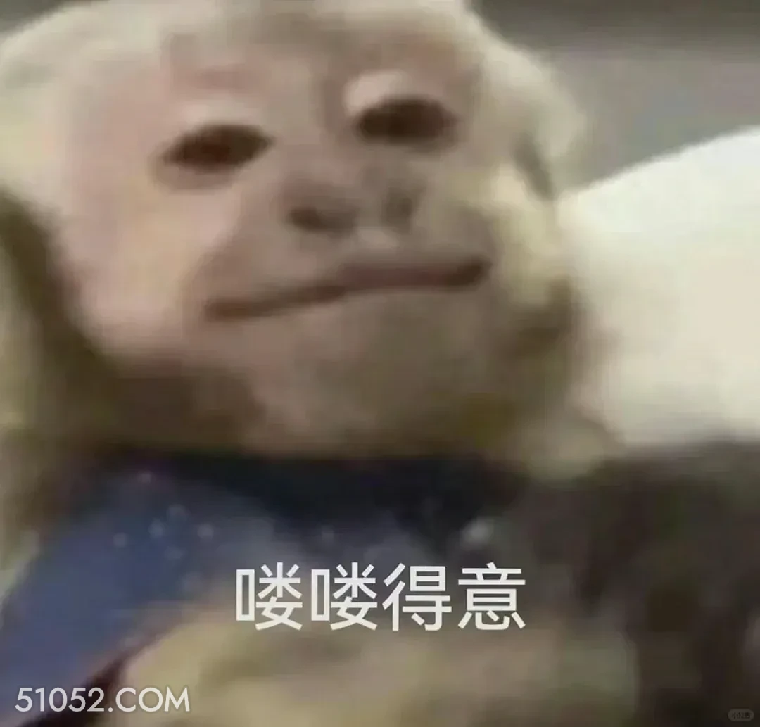 喽喽得意 猴子 吗喽 得意