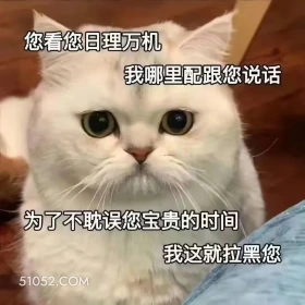 您看您日理万机 我哪 猫咪 萌 委屈 生气