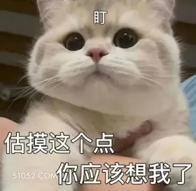 盯 估摸这个点 你应 猫猫 盯 估摸这个点你应该想我了