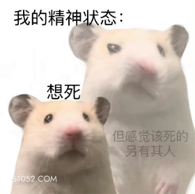 我的精神状态: 想死 仓鼠 鼠鼠我呀 我的精神状态 想死但觉得该死的另有其人