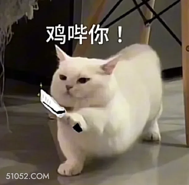 鸡哔你！ 猫猫 拿着刀 击毙你 杀了你