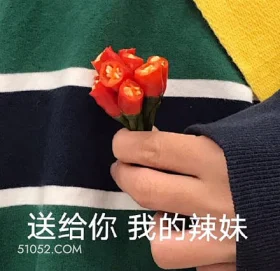 送给你我的辣妹 送你花 辣椒送给辣妹