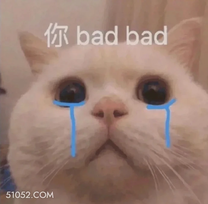 你bad bad 恋爱 有趣表情包