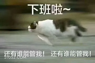 下班啦~ 还有谁能管 猫猫 下班啦 狂奔下班 还有谁能管我