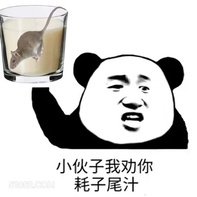 小伙子我劝你 耗子尾 熊猫头 劝你好自为之