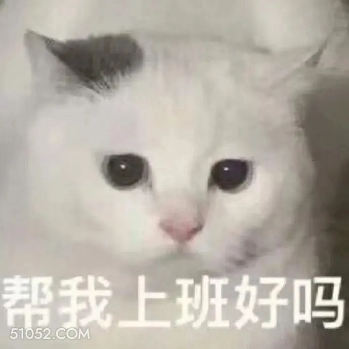 帮我上班好吗 猫猫 帮我上班好吗 不想上班