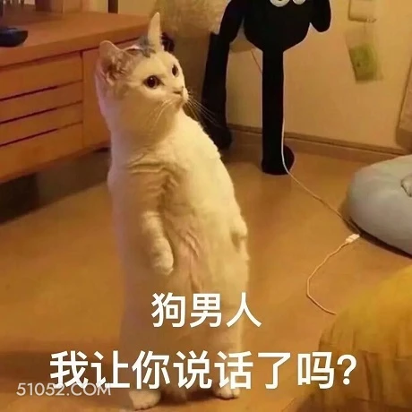 狗男人 我让你说话了 猫猫 站直身体 理直气壮 狗男人 给我闭嘴