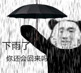 下雨了 你还会回来吗 熊猫头 撑伞 下雨了你还会回来吗