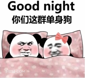 Good night 熊猫头 晚安 单身狗 good night