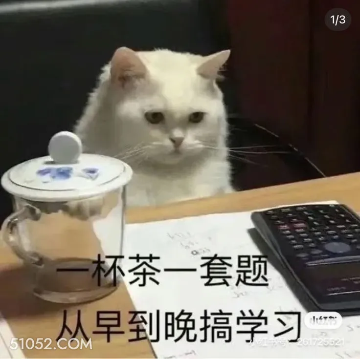 认真学习 学习 发愁