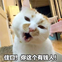 住口！你这个有钱人！ 猫猫 闭嘴 住口 我不想听