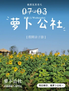 向日葵花海 萝卜公社 2024年7月3日 农历五月廿八 甲辰年庚午月戊辰日