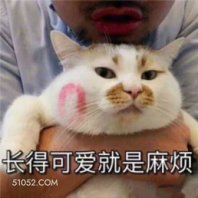 长得可爱就是麻烦 猫猫 可爱 真麻烦