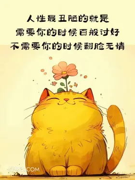 需要时百般讨好不需要翻脸无情 猫猫 短句 文案 道理