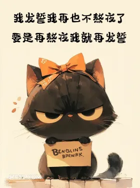 发誓再也不熬夜 猫猫 熬夜 搞笑文案 发朋友圈