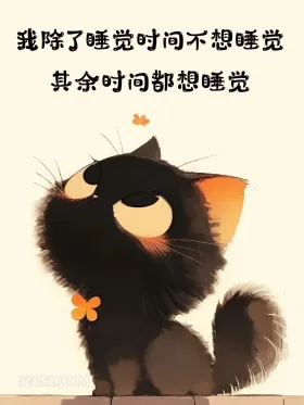 除了睡觉时间其他时间都想睡觉 猫猫 熬夜 搞笑文案 发朋友圈