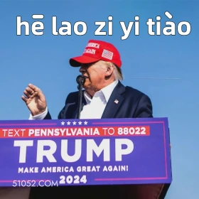 特朗普 川普 美国大选 受伤 恶搞 恶搞新闻 hēlao zi yi tiao ORICA CAI N ★★★★★ TEXT PENNSYLVANIA TO 88022 TRUMP MAKE AMERICA GREAT AGAINI 2024